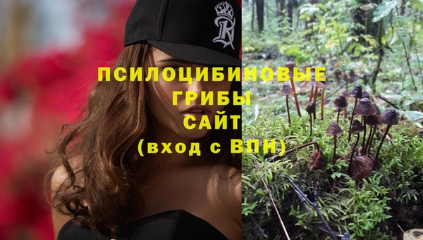 сатива Бронницы