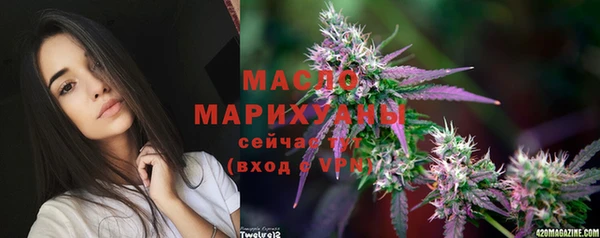 mdpv Бородино