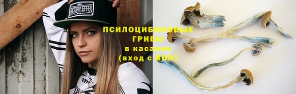 mdpv Бородино