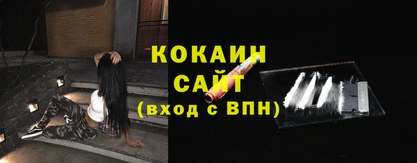 сатива Бронницы