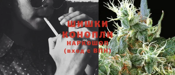 сатива Бронницы